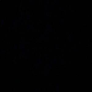 Meet your Posher, Noelia